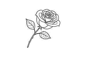 Rose flower for design element and coloring book pages for kids vector
