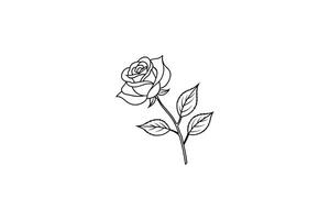 Rose flower for design element and coloring book pages for kids vector