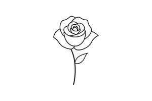 Rose flower for design element and coloring book pages for kids vector