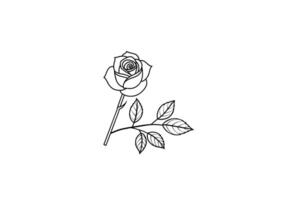 Rose flower for design element and coloring book pages for kids vector