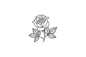 Rose flower for design element and coloring book pages for kids vector