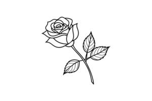 Rose flower for design element and coloring book pages for kids vector
