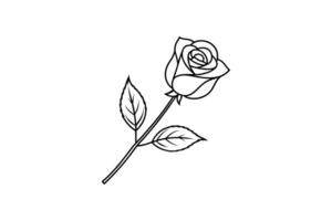 Rose flower for design element and coloring book pages for kids vector