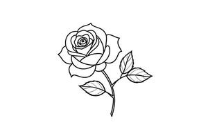 Rose flower for design element and coloring book pages for kids vector