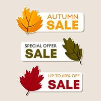 Set of bright colored autumn sale tags. Discount labels with autumn leaves on a white background. Banners for text. vector