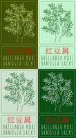 Set of drawing ARILLARIA KURZ in Chinese in various colors. Hand drawn illustration. Latin name is ORMOSIA JACKS. vector