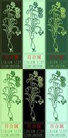 Set of drawing LIRIUM SCOP in Chinese in various colors. Hand drawn illustration. Latin name is LILIUM CANDIDUM L. vector