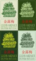 Set of drawing GOLDEN HARDHACK in Chinese in various colors. Hand drawn illustration. Latin name is DASIPHORA FRUTICOSA L. vector