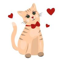 A small cat with a bow around his neck. White background vector