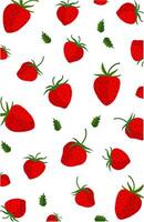 Fresh red strawberries pattern with on white vector