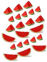 Sliced watermelons line up isolated on white vector