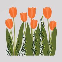 Spring tulips background vector