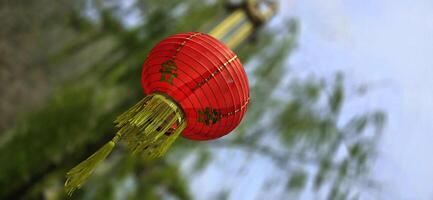 Chinese red lanterns during chinese new year festival, Chinese new year, new year celebration concept and happy new year Chinese, representing prosperity and happiness photo