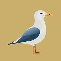 A seagull is standing on a yellow background vector