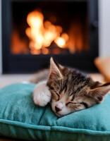 A kitten sleeps soundly on a blue cushion in front of a fireplace photo