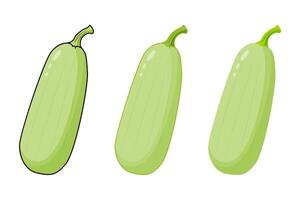 Three Green Courgettes Ripe Zucchini Close up on a White Background vector