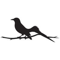 a black bird on a branch with a white background with white background vector