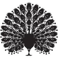 Black and White Feather Patterns vector