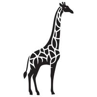 Graceful Giraffe Silhouette Monochrome Illustration vector