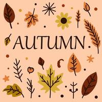 A set of multi-coloured autumn leaves on a light background. Yellow and red leaves are laid one by one and in pairs. With text. vector