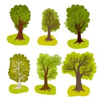 Summer or spring trees with lawn set or collection in flat style, forest trees, cartoon for children's book and games, birch, oak. vector