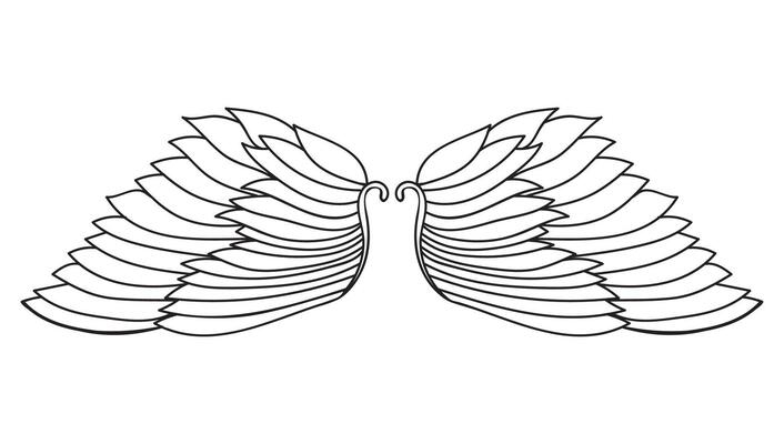 Thin line, outline doodle angel wings isolated on white.