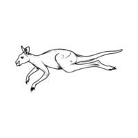 outline of a kangaroo vector