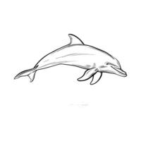 outline of a dolphin leaping from the water vector