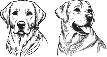 Labrador line art, Labrador line drawing, Labrador outline drawing,Labrador illustrations vector