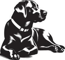 labrador retriever dog silhouette design,isolated on white background. vector