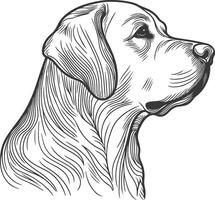 Labrador line art, Labrador line drawing, Labrador outline drawing,Labrador illustrations vector