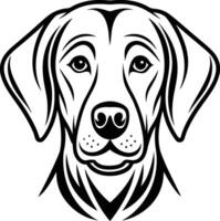 Labrador line art, Labrador line drawing, Labrador outline drawing,Labrador illustrations vector