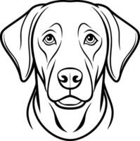 Labrador line art, Labrador line drawing, Labrador outline drawing,Labrador illustrations vector