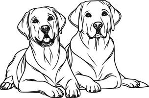 Labrador line art, Labrador line drawing, Labrador outline drawing,Labrador illustrations vector