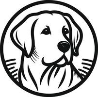 Labrador line art, Labrador line drawing, Labrador outline drawing,Labrador illustrations vector