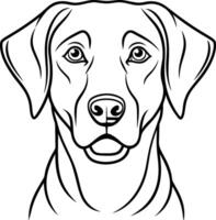 Labrador line art, Labrador line drawing, Labrador outline drawing,Labrador illustrations vector