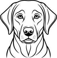 Labrador line art, Labrador line drawing, Labrador outline drawing,Labrador illustrations vector