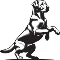 labrador retriever dog silhouette design,isolated on white background. vector