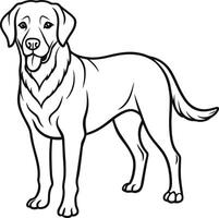 Labrador line art, Labrador line drawing, Labrador outline drawing,Labrador illustrations vector