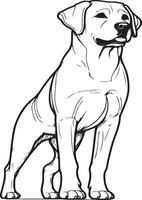 Labrador line art, Labrador line drawing, Labrador outline drawing,Labrador illustrations vector
