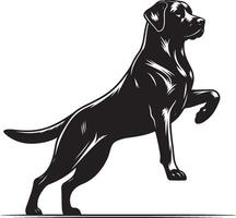 labrador retriever dog silhouette design,isolated on white background. vector