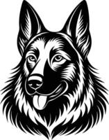 German shepherd dog in different poses on a white background objects silhouette illustration. vector