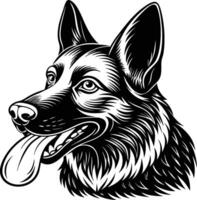 German shepherd dog in different poses on a white background objects silhouette illustration. vector