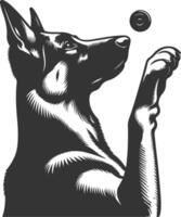 German shepherd dog in different poses on a white background objects silhouette illustration. vector