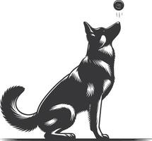 German shepherd dog in different poses on a white background objects silhouette illustration. vector