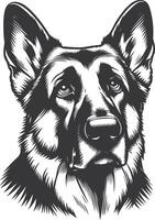 German shepherd dog in different poses on a white background objects silhouette illustration. vector