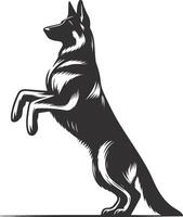 German shepherd dog in different poses on a white background objects silhouette illustration. vector