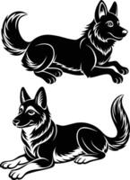 German shepherd dog in different poses on a white background objects silhouette illustration. vector