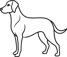 Labrador line art, Labrador line drawing, Labrador outline drawing,Labrador illustrations vector