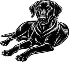 labrador retriever dog silhouette design,isolated on white background. vector
